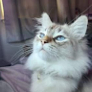 Meet your Posher, Kaylah